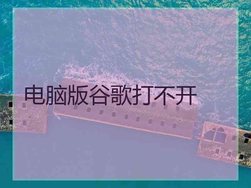 电脑版谷歌打不开