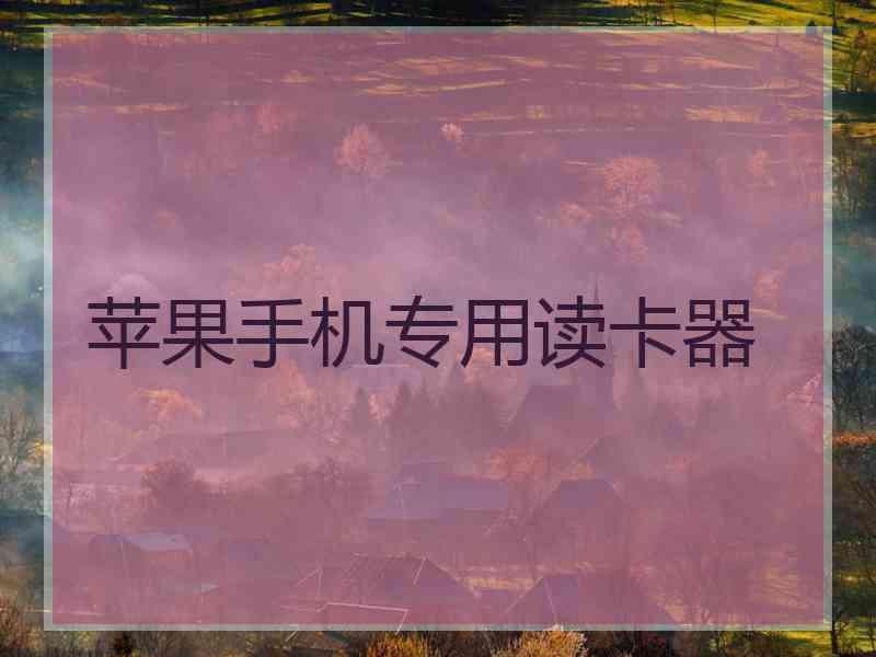 苹果手机专用读卡器