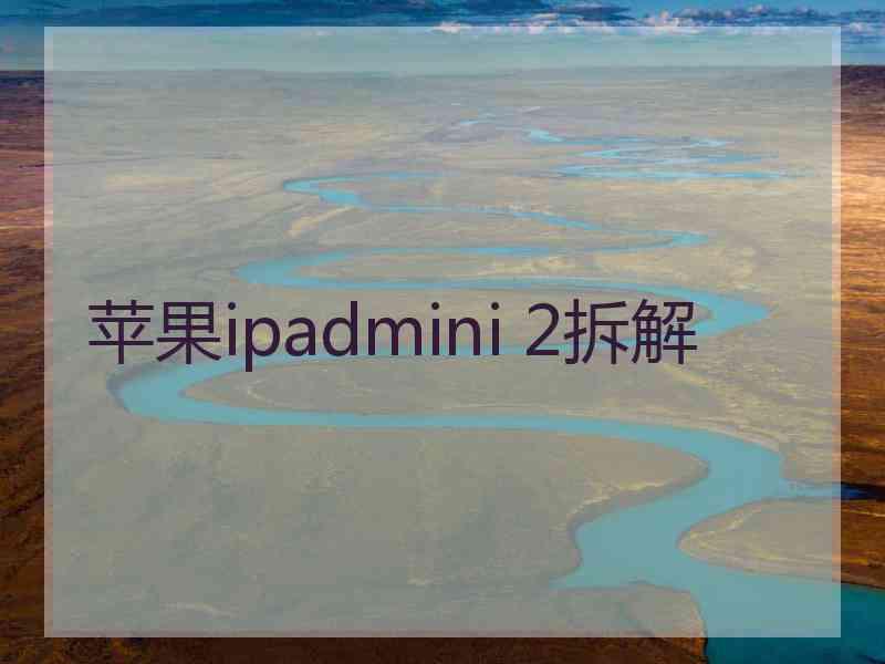 苹果ipadmini 2拆解