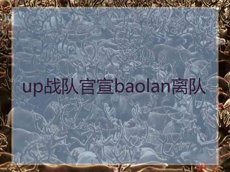 up战队官宣baolan离队