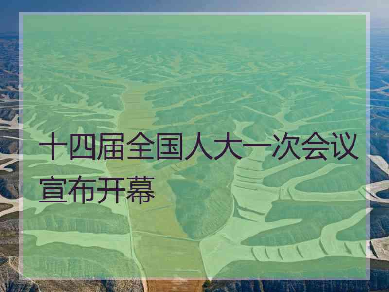 十四届全国人大一次会议宣布开幕