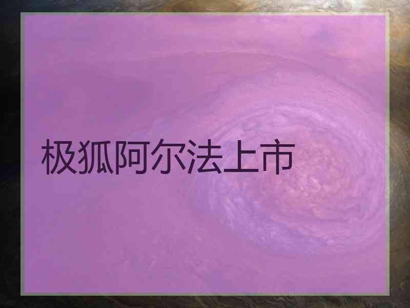极狐阿尔法上市