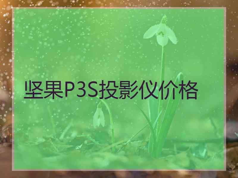 坚果P3S投影仪价格