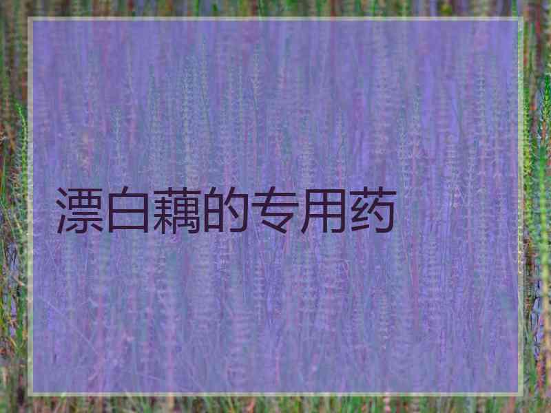 漂白藕的专用药