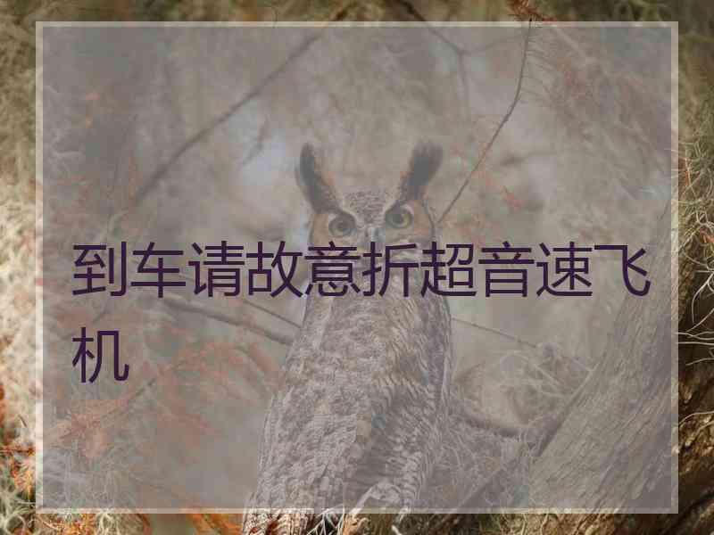 到车请故意折超音速飞机