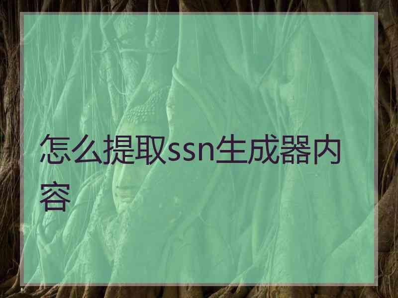 怎么提取ssn生成器内容