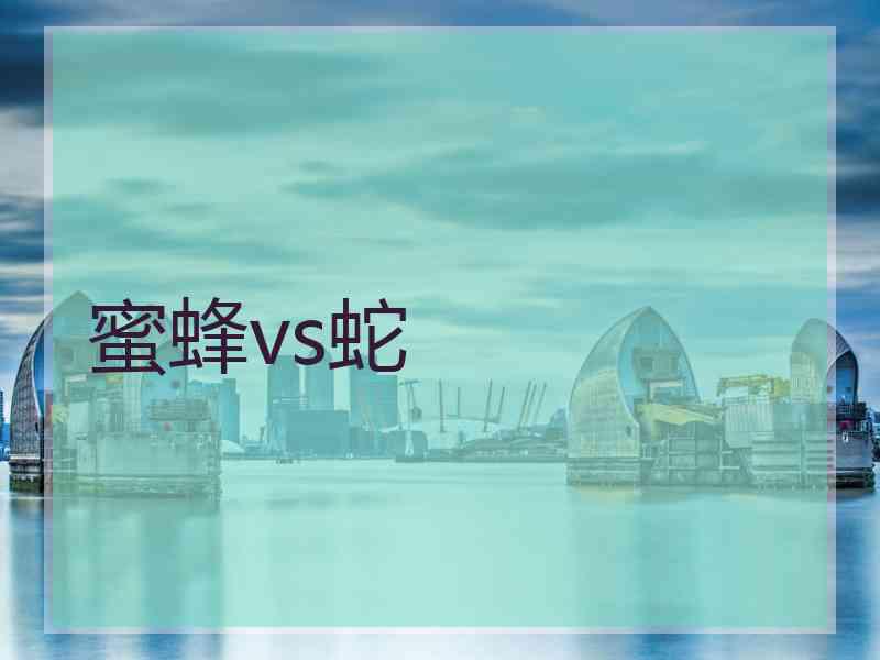 蜜蜂vs蛇