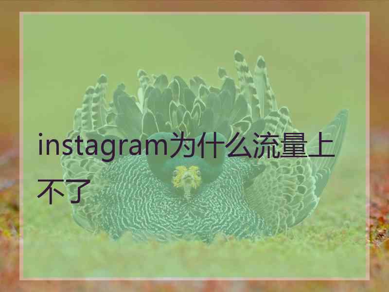 instagram为什么流量上不了