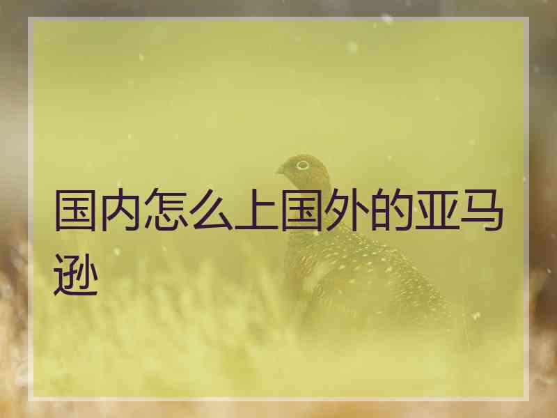 国内怎么上国外的亚马逊