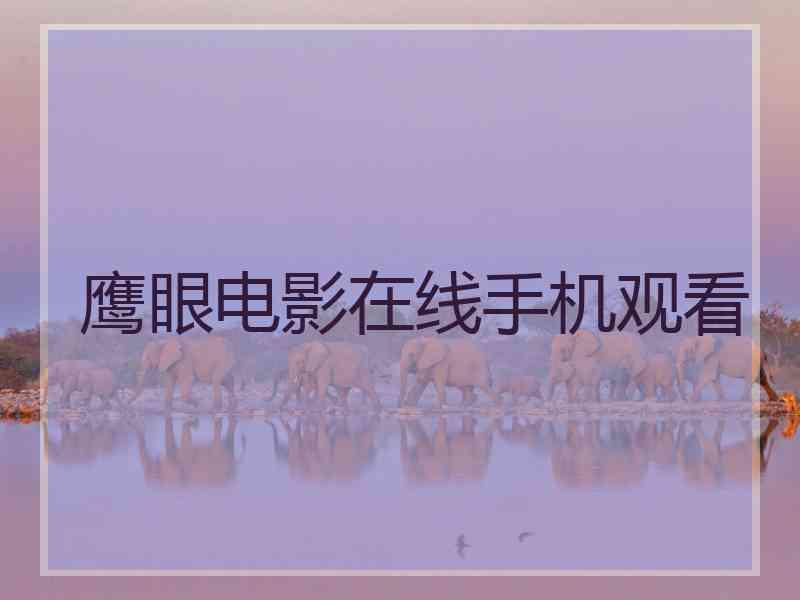 鹰眼电影在线手机观看