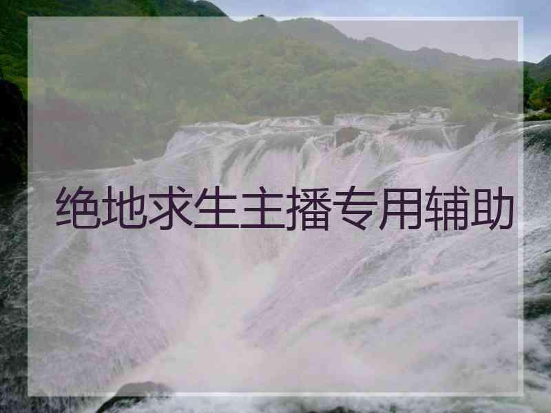 绝地求生主播专用辅助