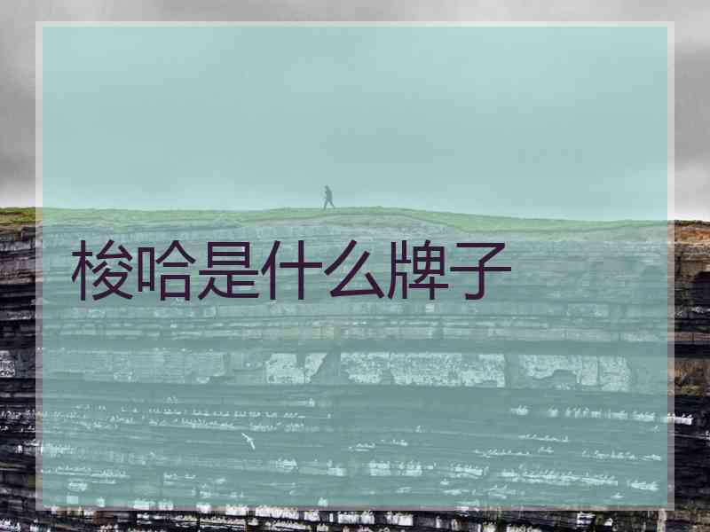梭哈是什么牌子