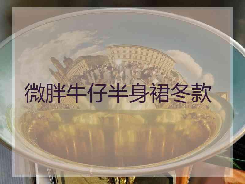 微胖牛仔半身裙冬款