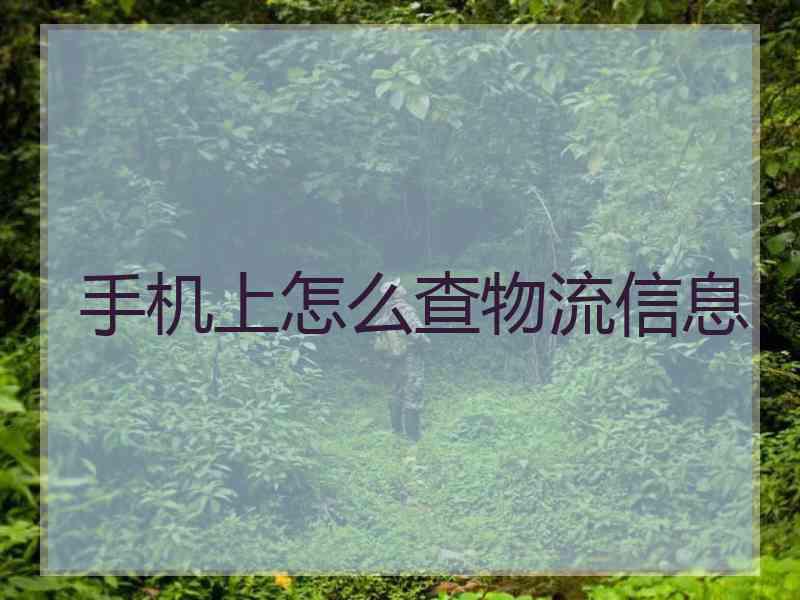手机上怎么查物流信息