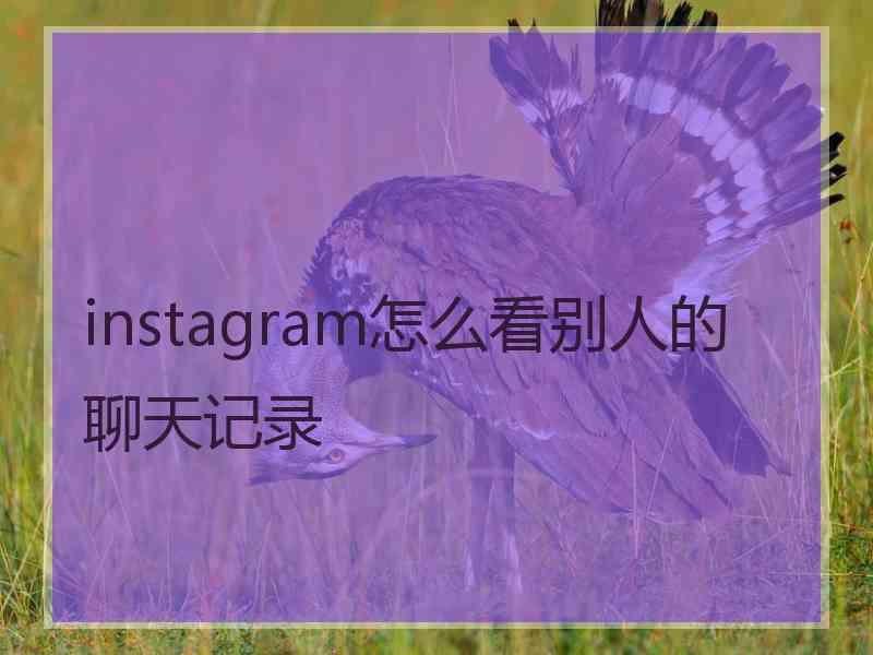 instagram怎么看别人的聊天记录