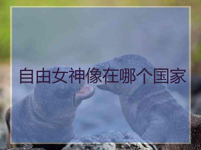 自由女神像在哪个国家