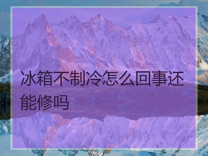 冰箱不制冷怎么回事还能修吗