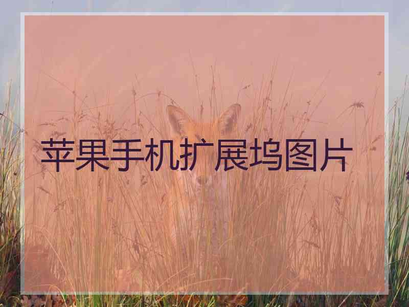 苹果手机扩展坞图片