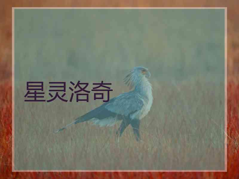 星灵洛奇