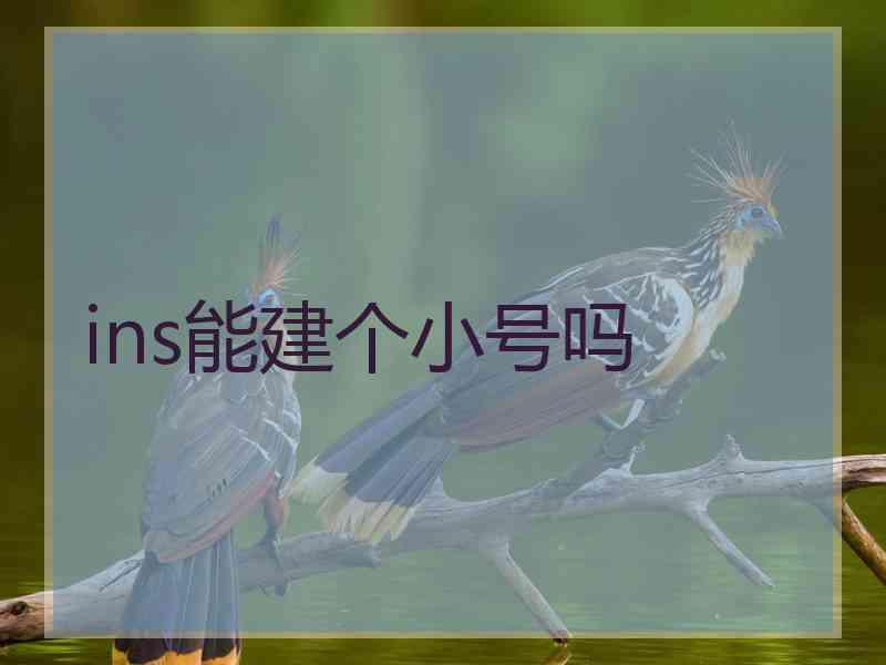 ins能建个小号吗