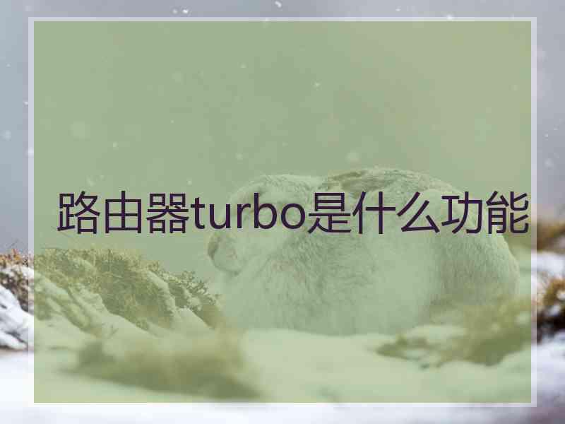 路由器turbo是什么功能