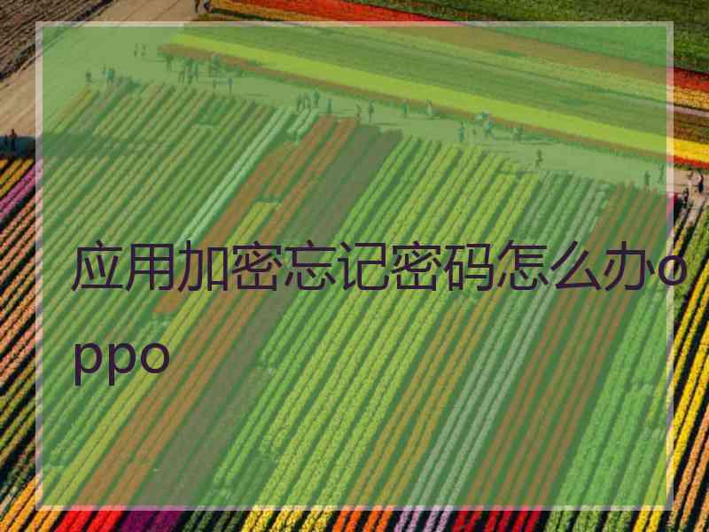应用加密忘记密码怎么办oppo