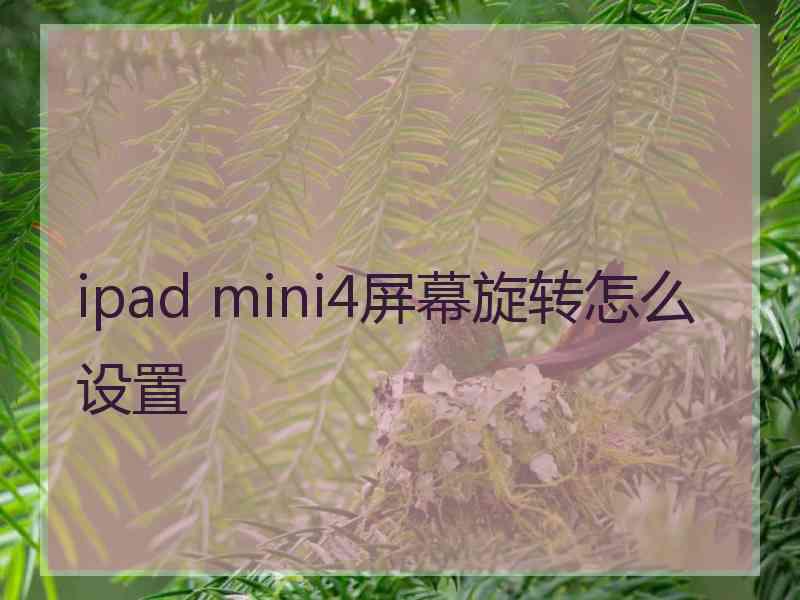 ipad mini4屏幕旋转怎么设置