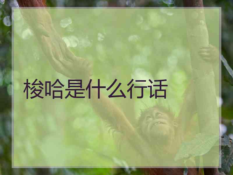 梭哈是什么行话