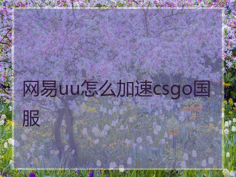 网易uu怎么加速csgo国服