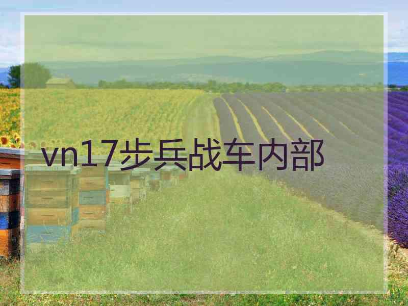 vn17步兵战车内部