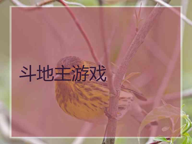 斗地主游戏
