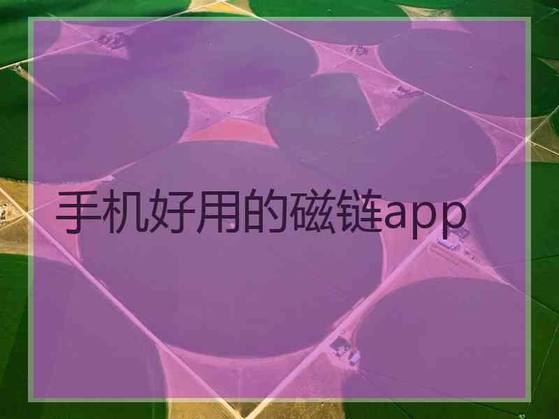 手机好用的磁链app
