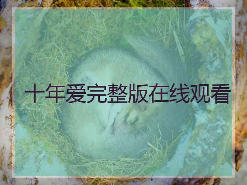 十年爱完整版在线观看