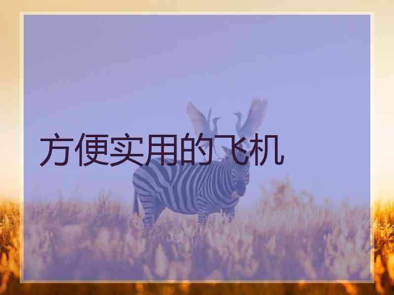 方便实用的飞机