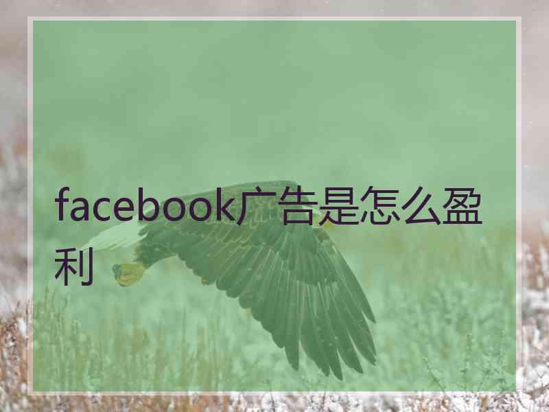 facebook广告是怎么盈利