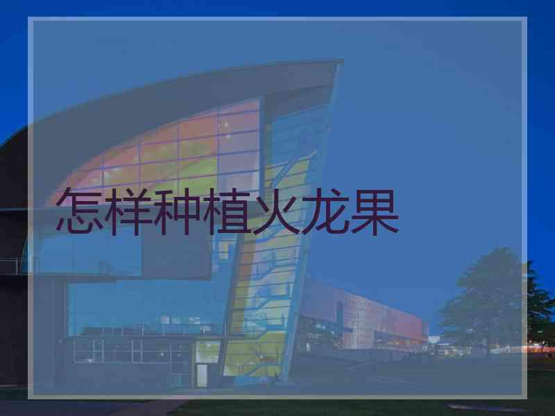 怎样种植火龙果