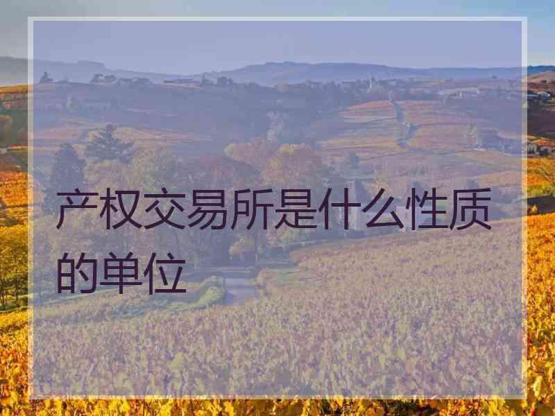 产权交易所是什么性质的单位