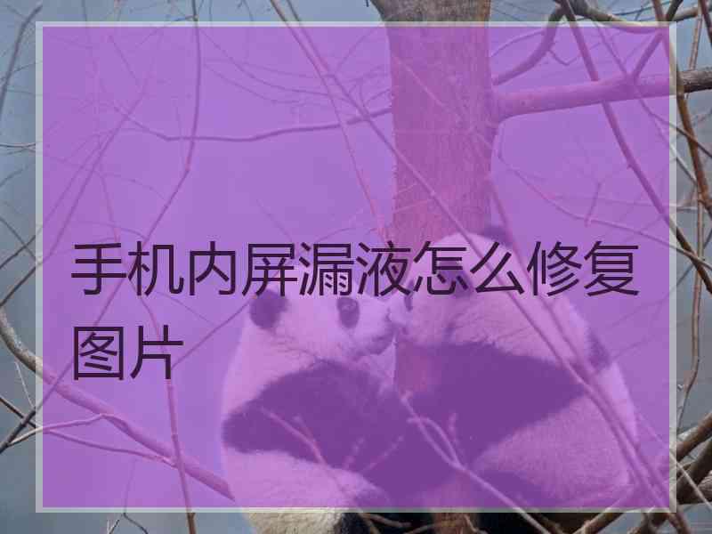 手机内屏漏液怎么修复图片