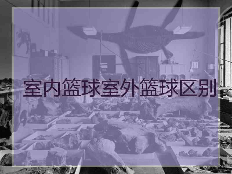 室内篮球室外篮球区别
