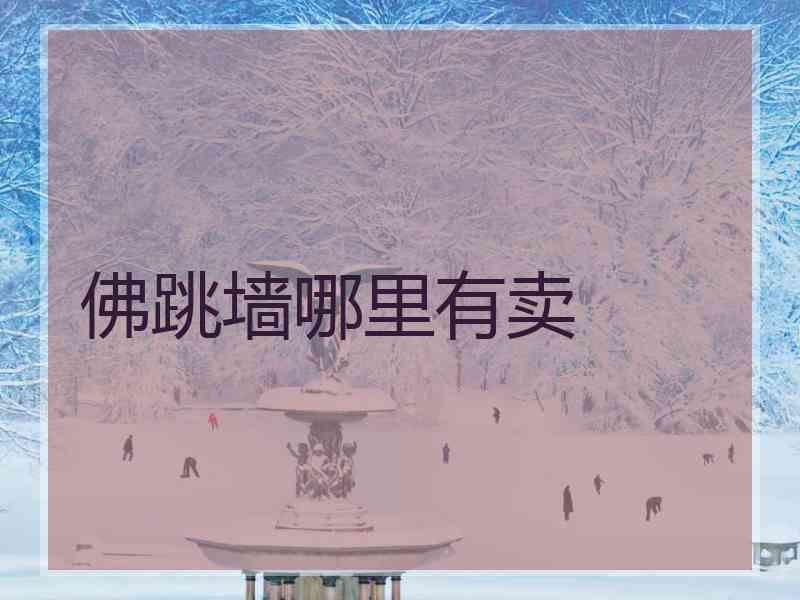 佛跳墙哪里有卖