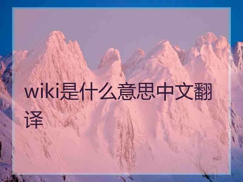 wiki是什么意思中文翻译
