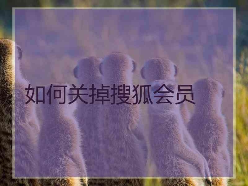 如何关掉搜狐会员