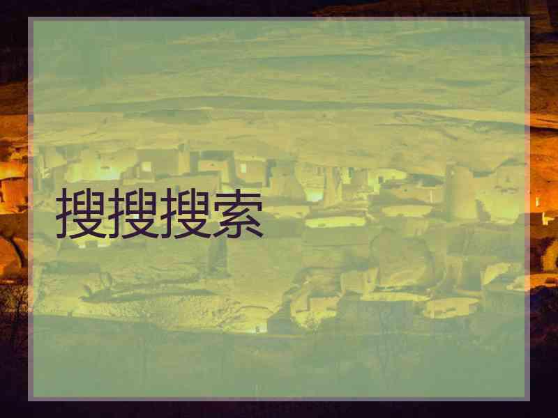 搜搜搜索