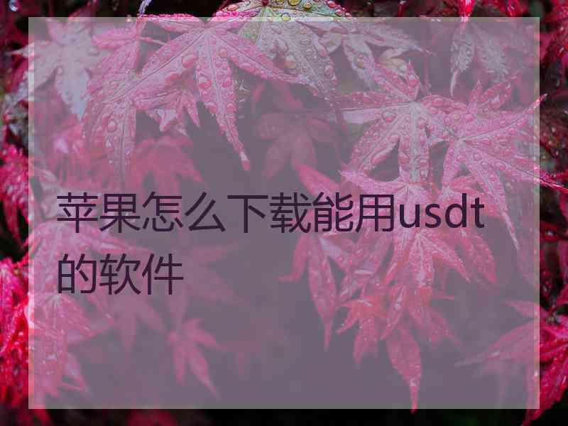 苹果怎么下载能用usdt的软件