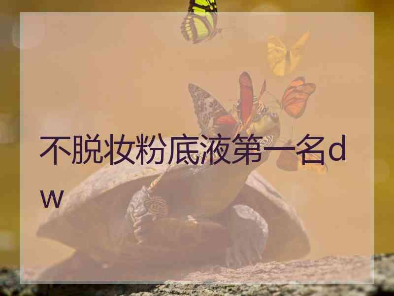 不脱妆粉底液第一名dw