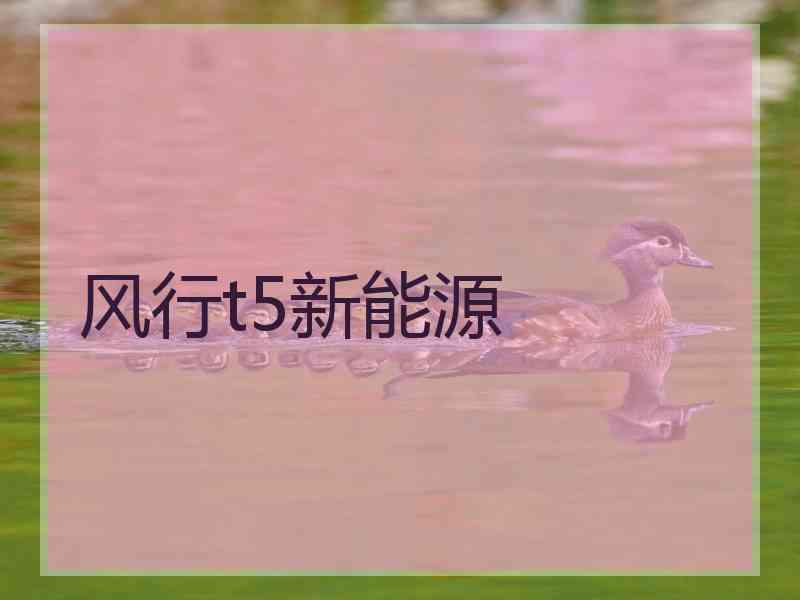 风行t5新能源