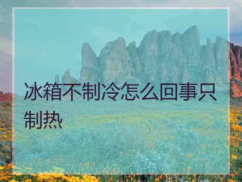 冰箱不制冷怎么回事只制热
