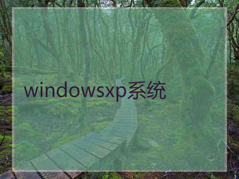 windowsxp系统