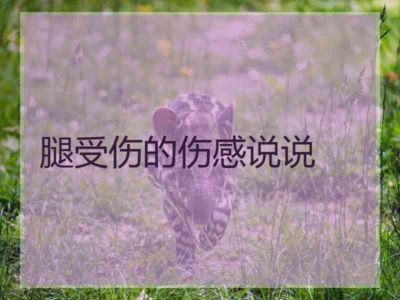 腿受伤的伤感说说