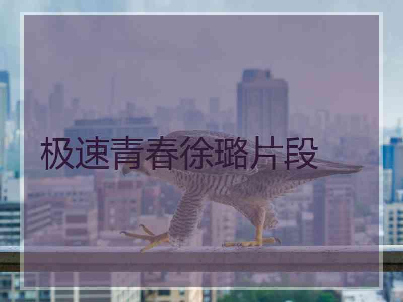 极速青春徐璐片段